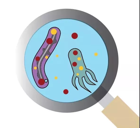 污水厂内的生物气溶胶怎么产生,污水从业人员如何做好防护?- 污水厂内的生物气溶胶怎么产生,污水从业人员如何做好防护?-